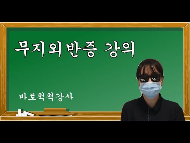 피드 이미지